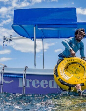 Freedive Nusa – Freediving School