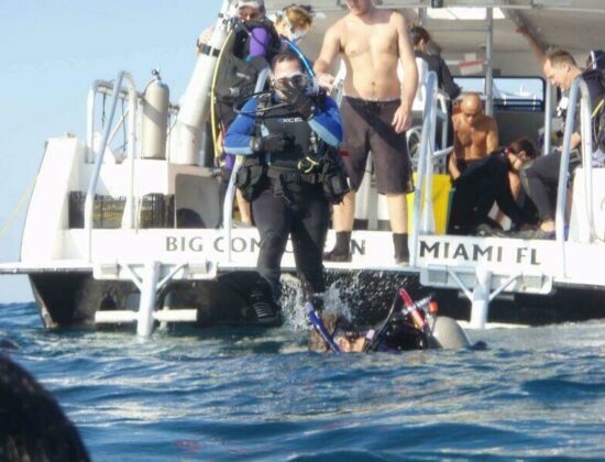 Grove Scuba