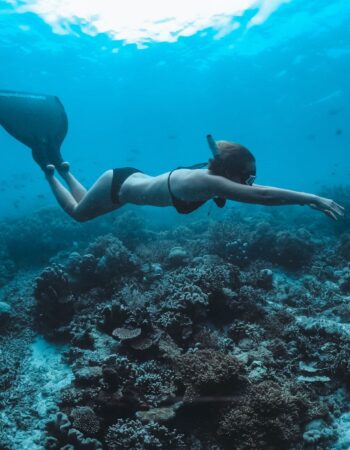 Freedive Nusa – Freediving School