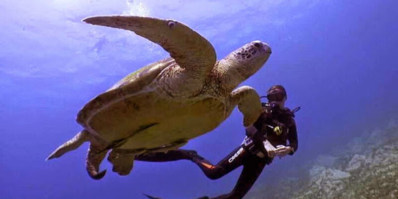 Reef Oasis Dive Club