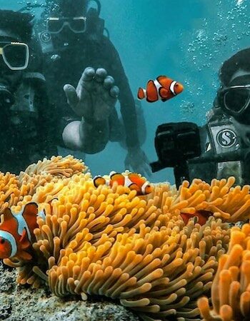Seahawks Scuba