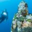 The Beginner’s Guide to SCUBA DIVING (Updated 2024)