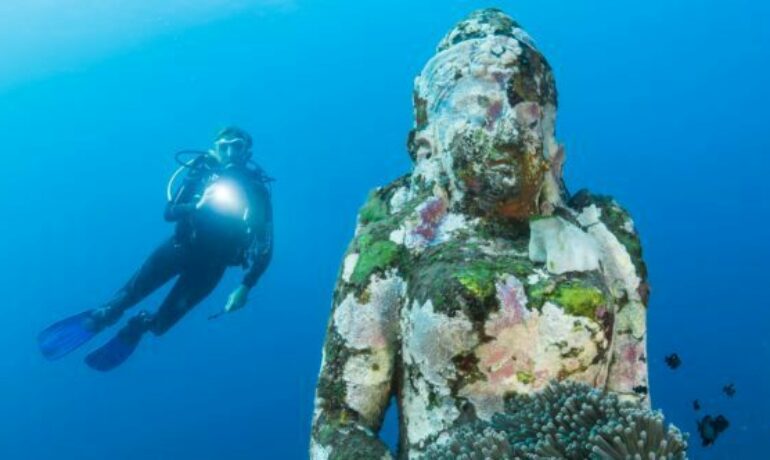 The Beginner’s Guide to SCUBA DIVING (Updated 2024)