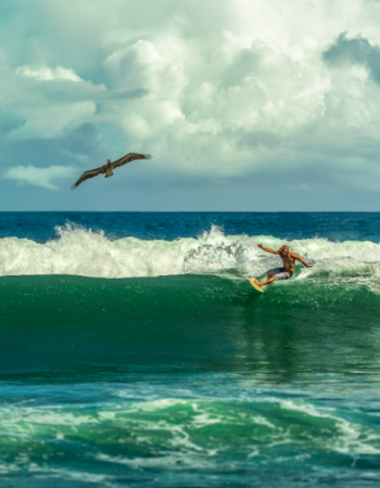 Rincón Surf School + Resort