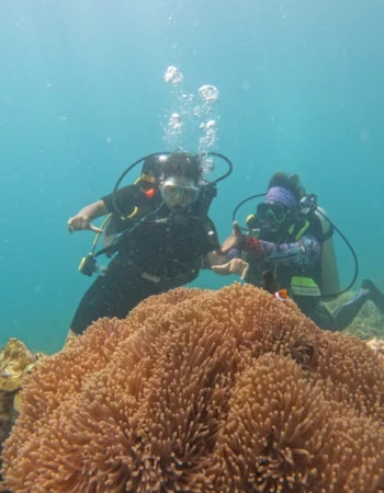 Seahawks Scuba